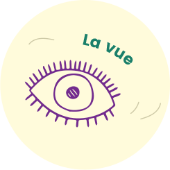 La vue