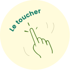 Le toucher