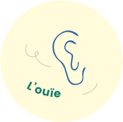 L'ouïe